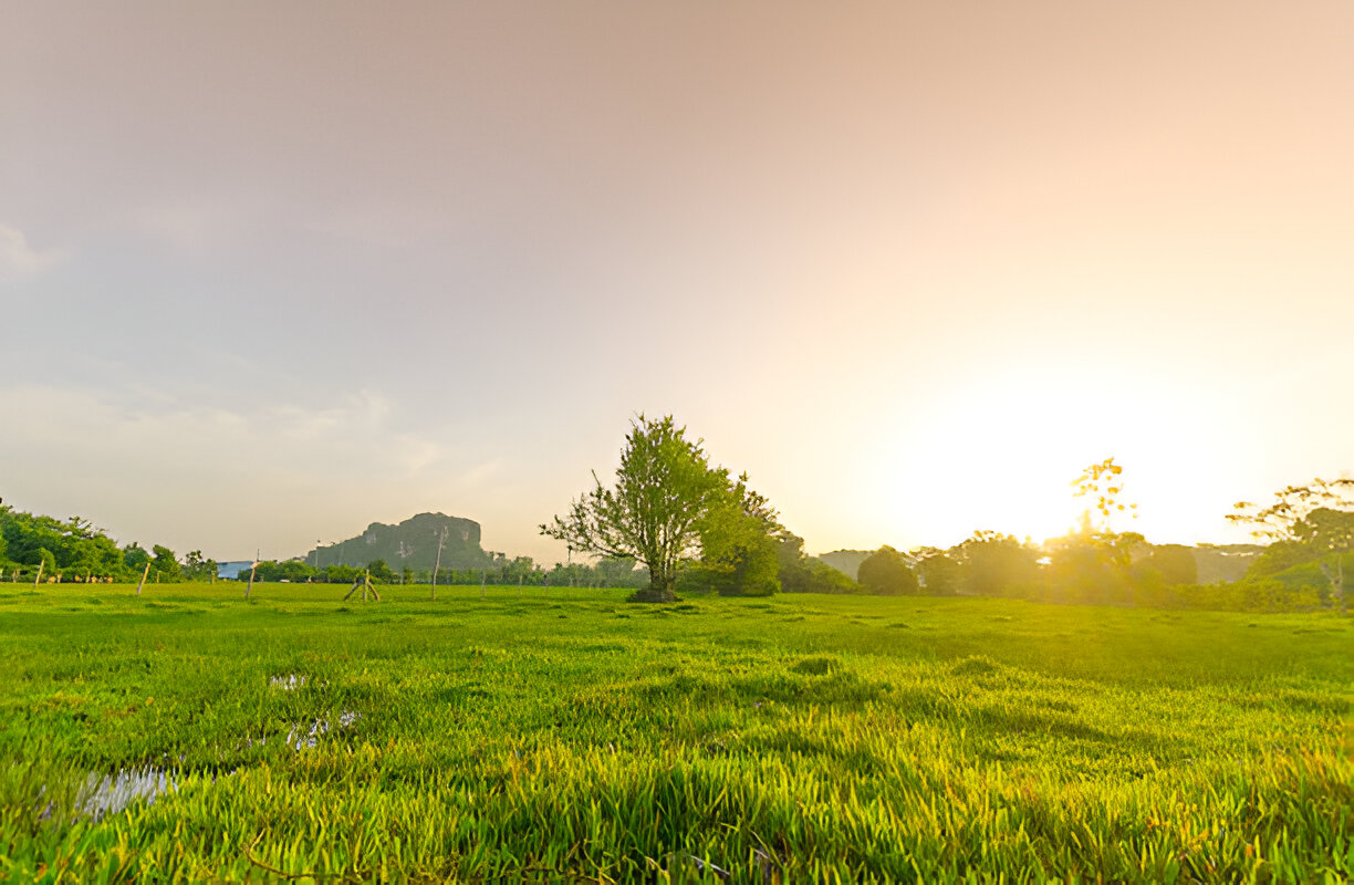 Beautifully landscaped plots in Lucknow for residential use